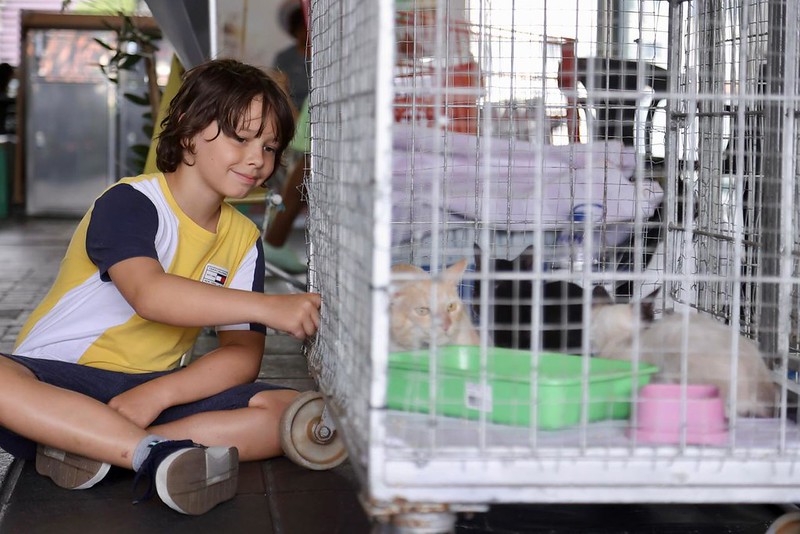 Itapevi promove feira de adoção de cães e gatos no Ita Shopping Centro
