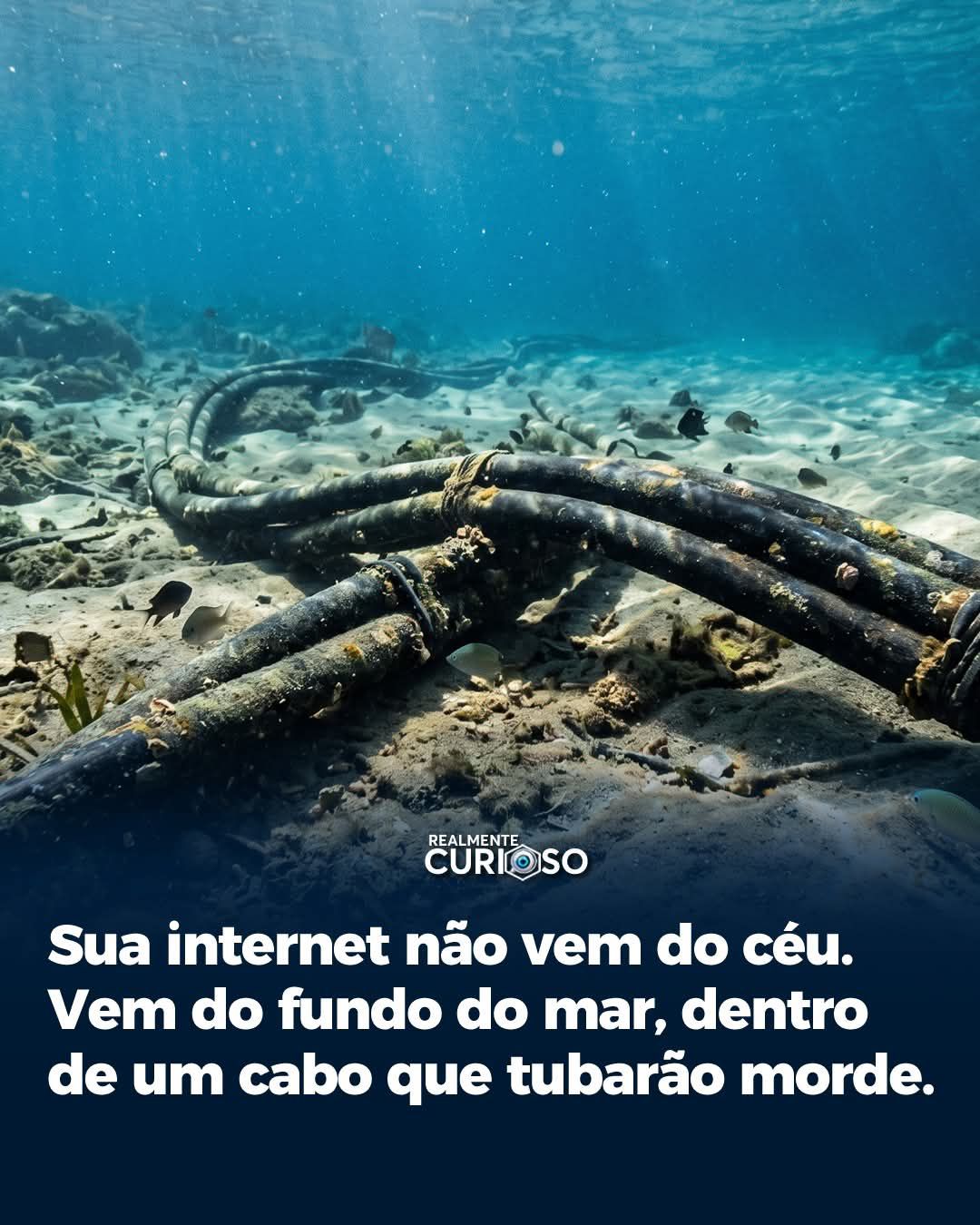 Esquece satélite. 99% da internet mundial viaja debaixo d’água