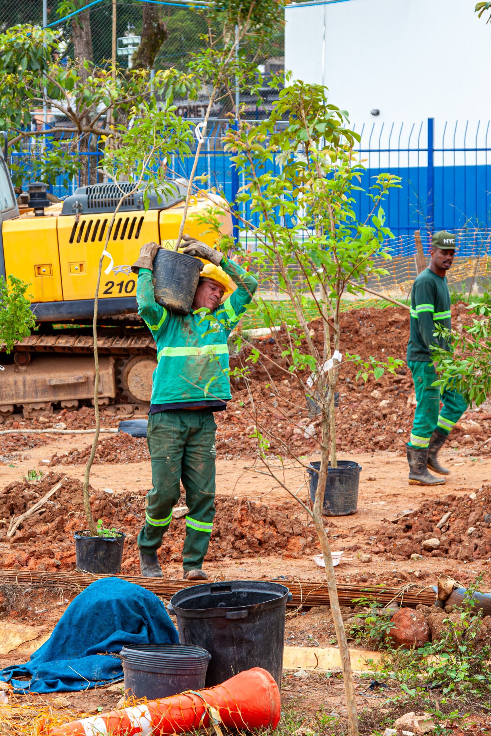 Parque do Planalto recebe 280 árvores