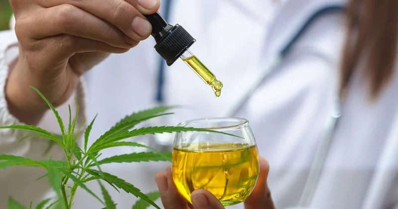 Canabidiol diminui crises em casos graves de epilepsia, mostra estudo da USP