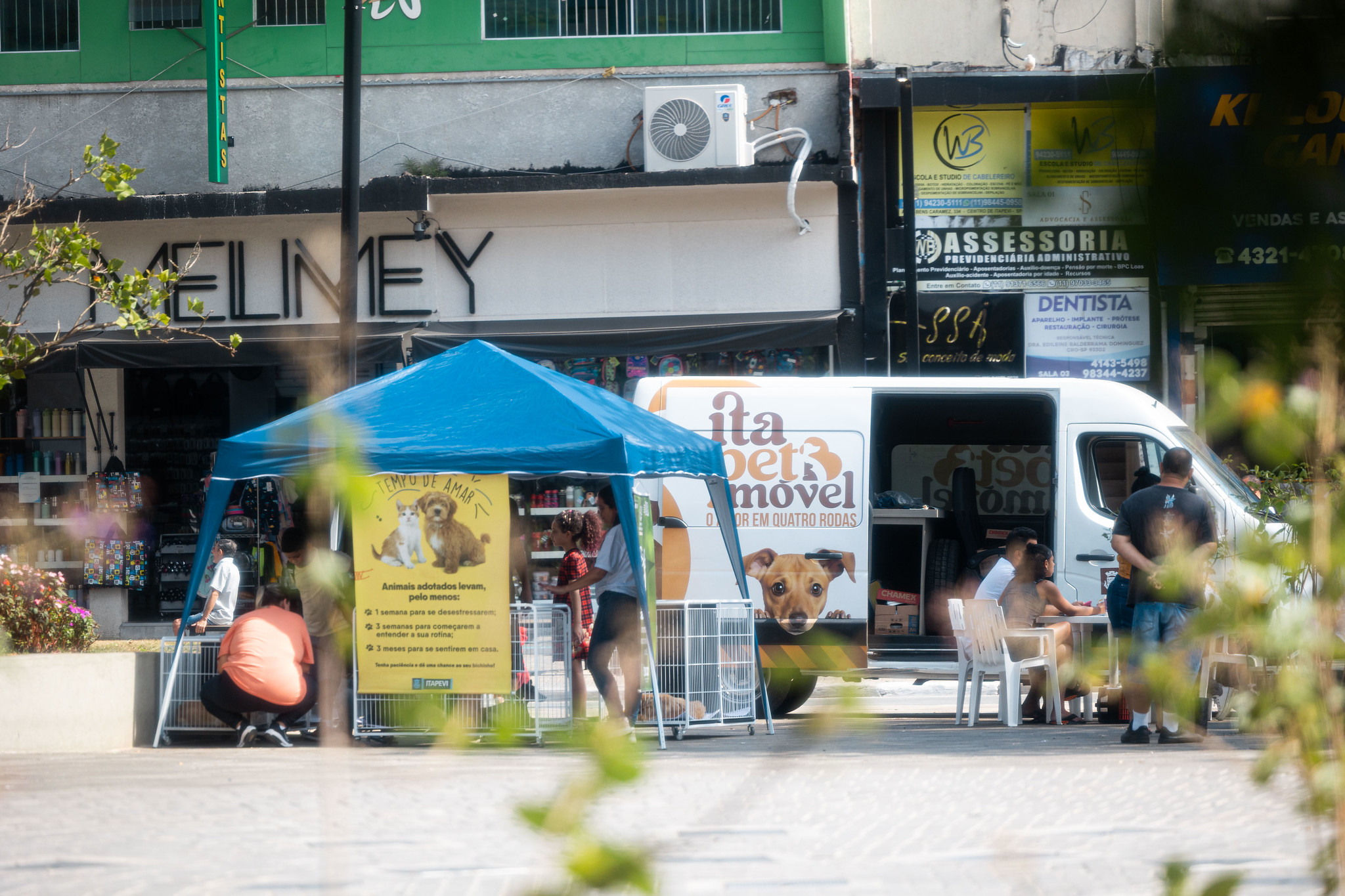 Feira de adoção de cães acontece na Praça 18 de Fevereiro neste sábado (25)