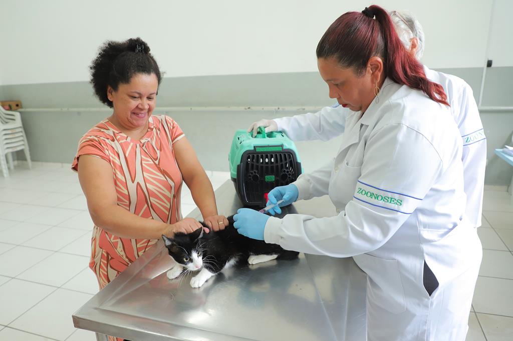 Dia Mundial Contra a Raiva reforça importância da prevenção e da vacinação