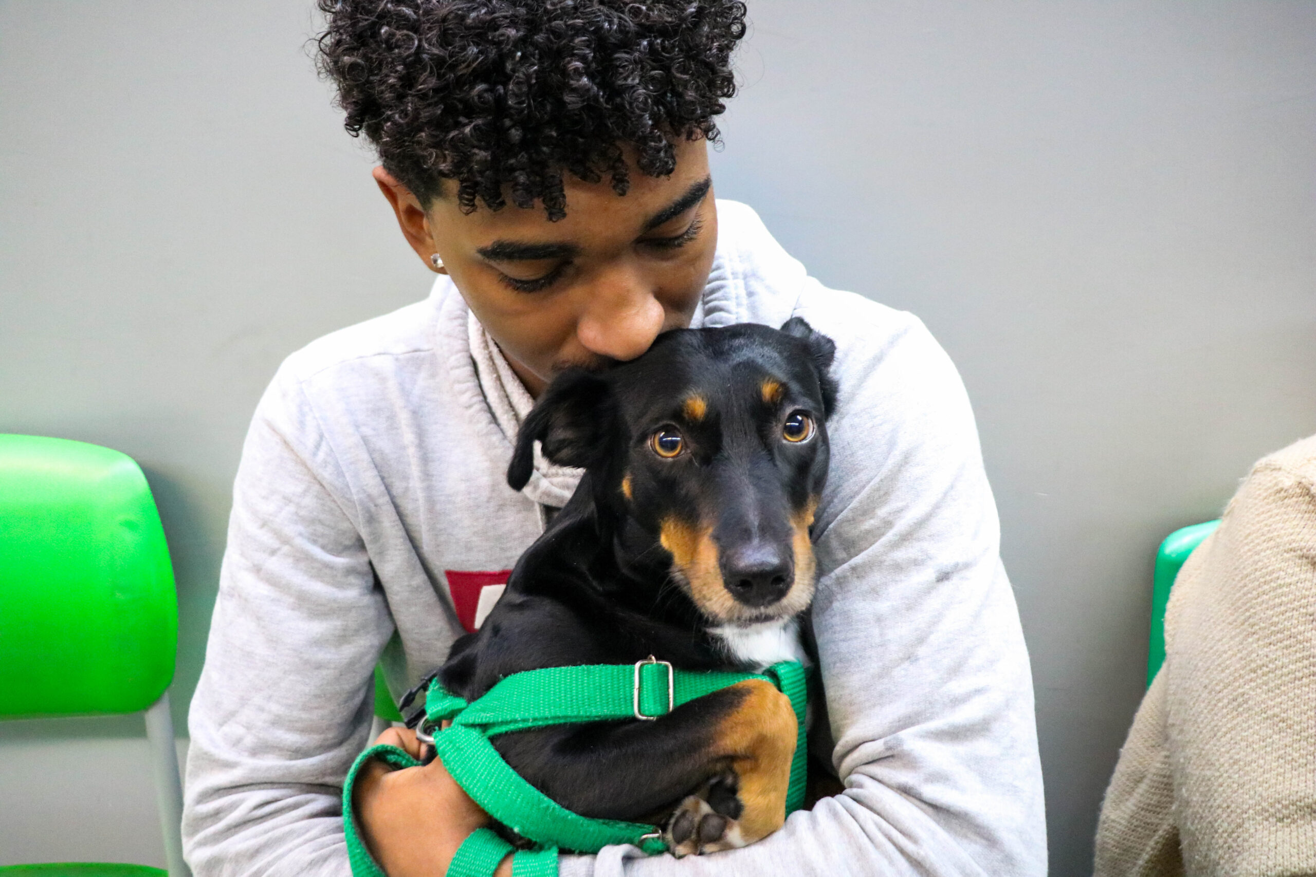 Prefeitura realiza mais de 400 castrações de cães e gatos no mês de agosto
