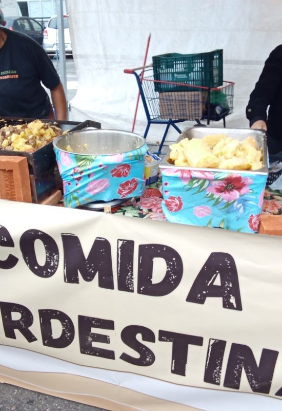 Festa Nordestina no Parque das Hortênsias promete agitar Taboão da Serra com entrada gratuita de 26 a 05/07